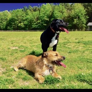 Meet your Posher, Stacey